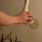 Luma Peacock LED Wall Lamp